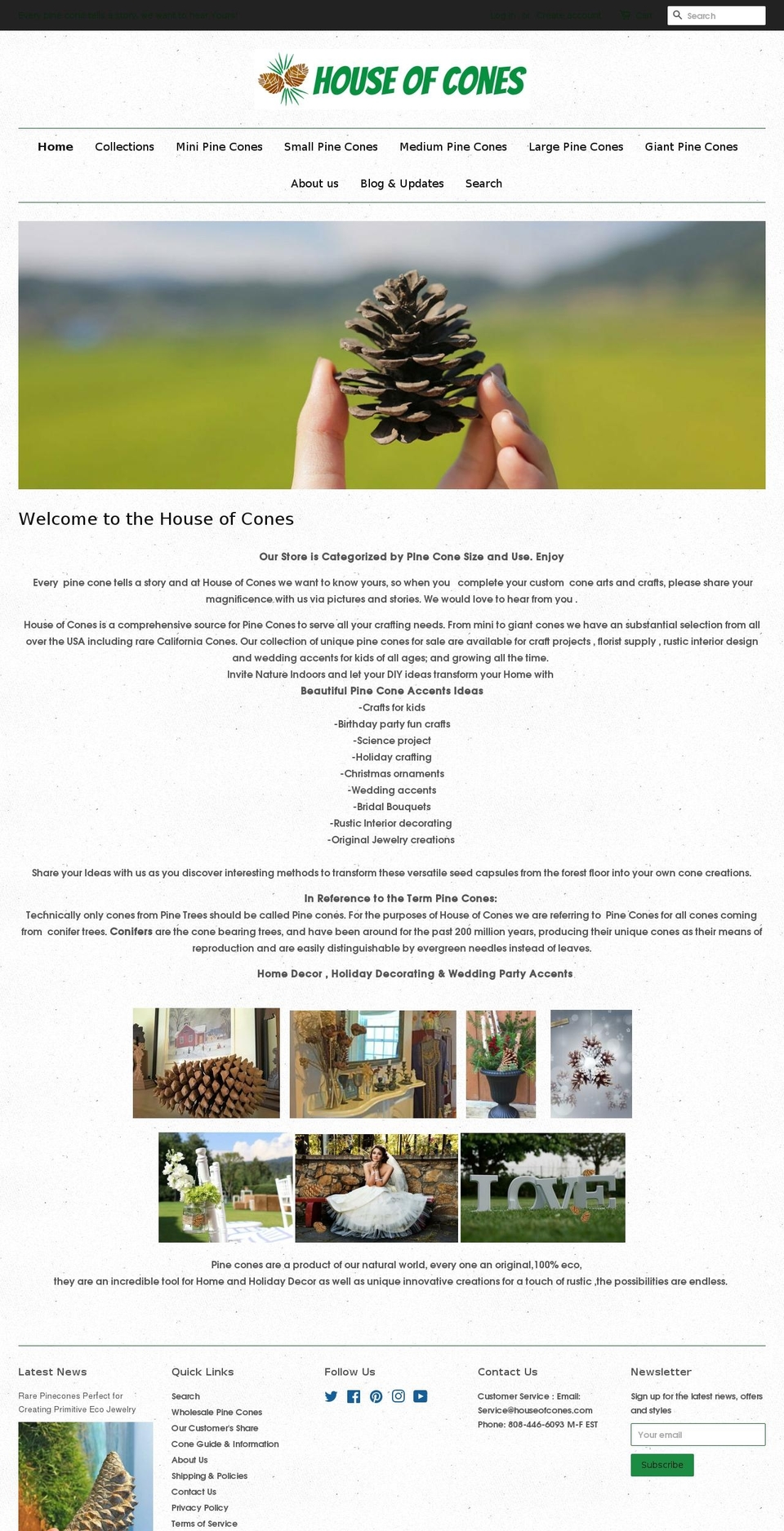 pine-cones.com shopify website screenshot