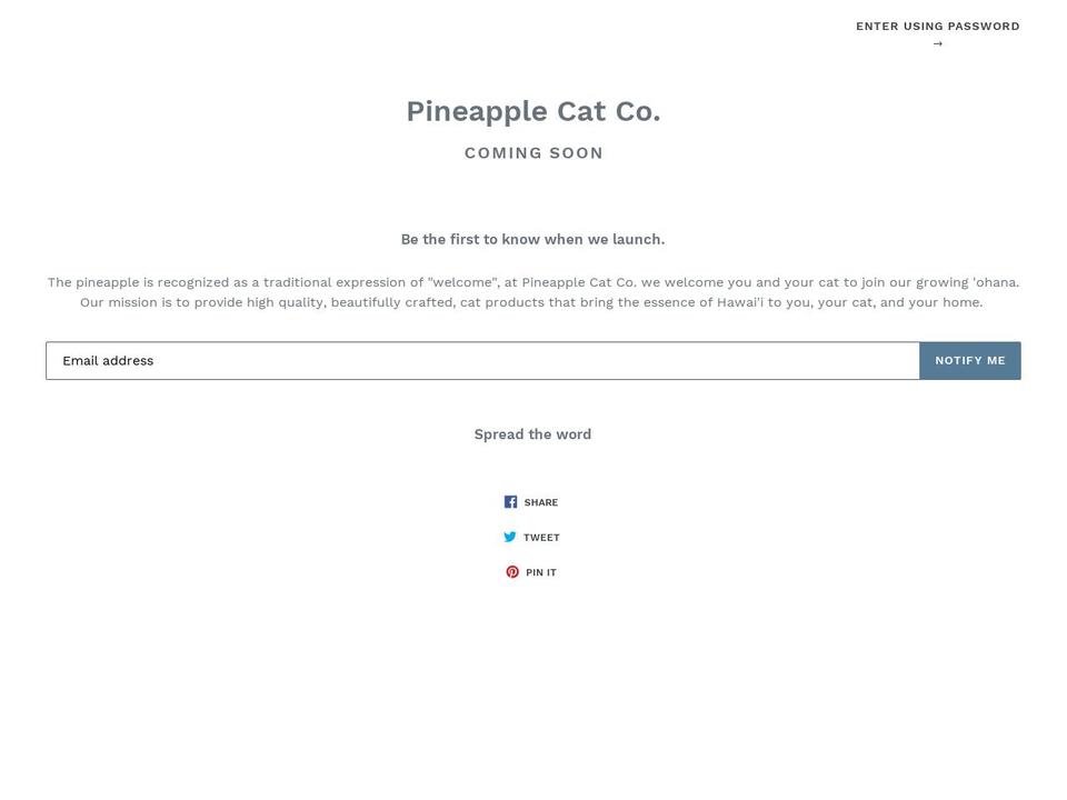 pineapplecatco.com — Shopify storefront screenshot
