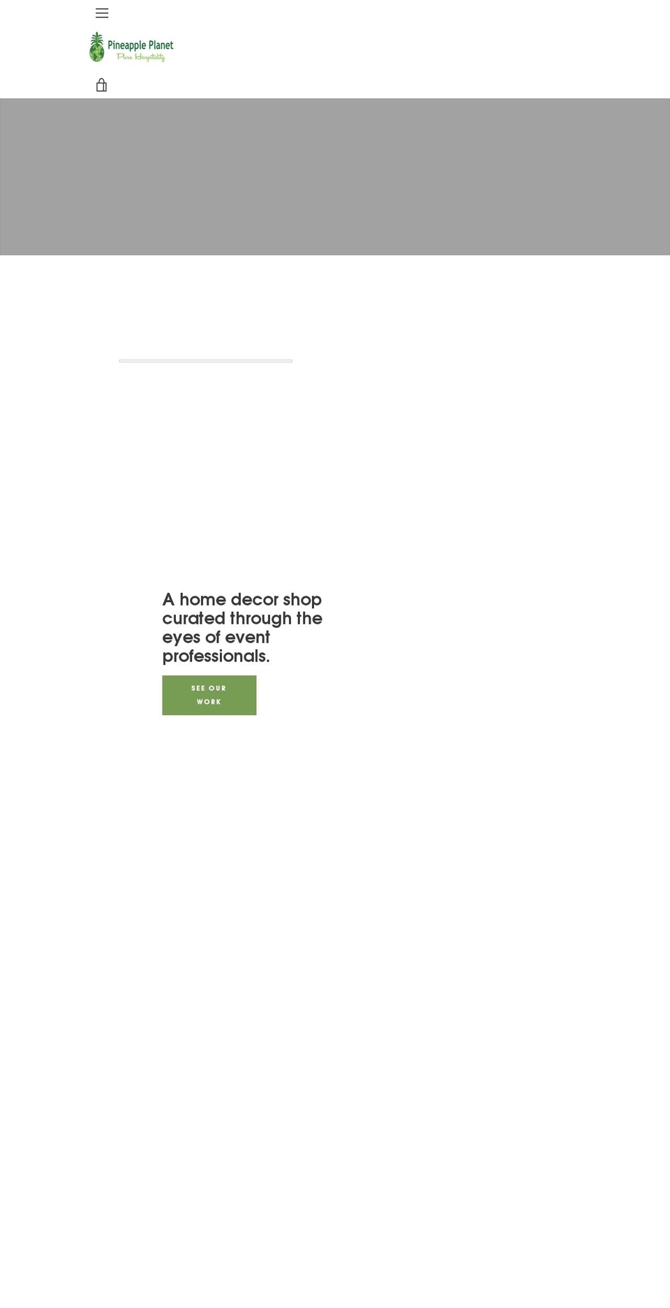 pineappleplanethome.com shopify website screenshot