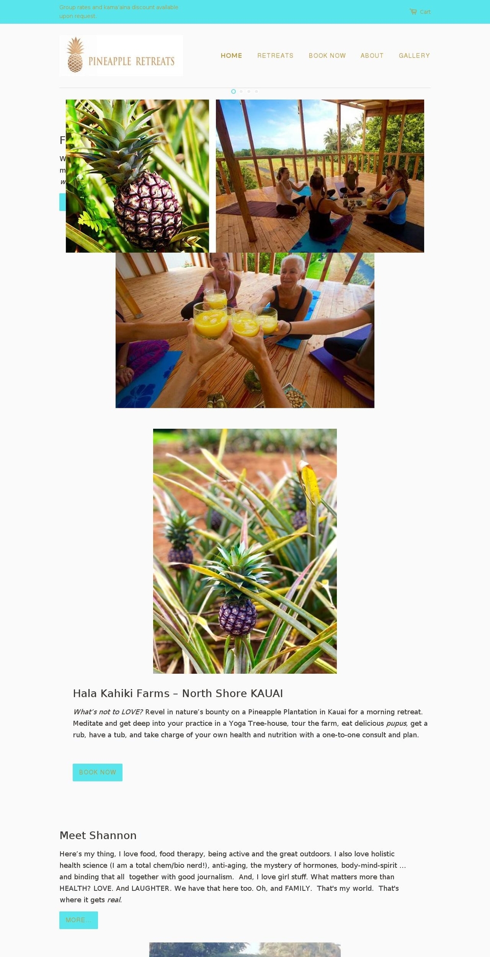 pineappleretreats.com shopify website screenshot