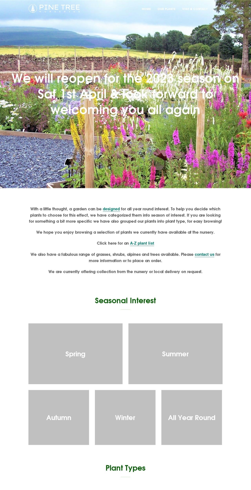 pinetreenurseries.co.uk shopify website screenshot