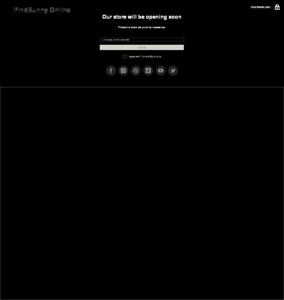 pinkbunny.com shopify website screenshot