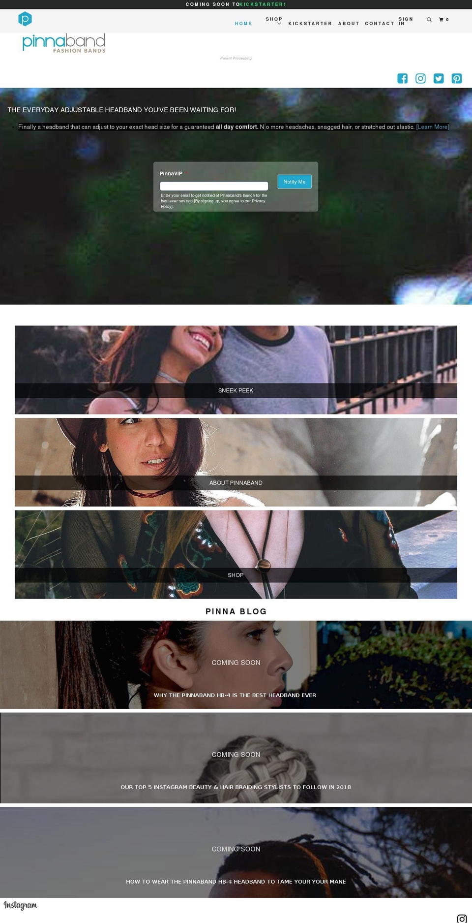 pinnaband.com shopify website screenshot