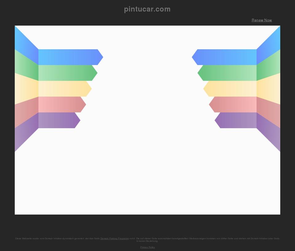 pintucar.com shopify website screenshot
