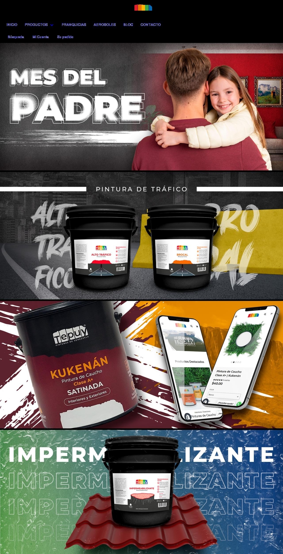 Flow  Optimized Shopify theme site example pinturastepuy.com