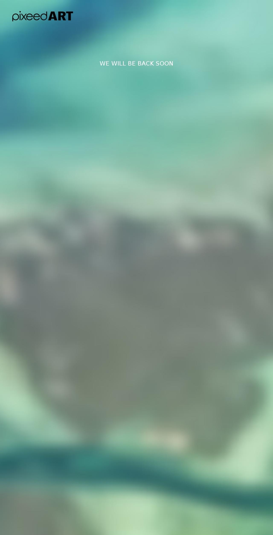 pixeed-art.com shopify website screenshot