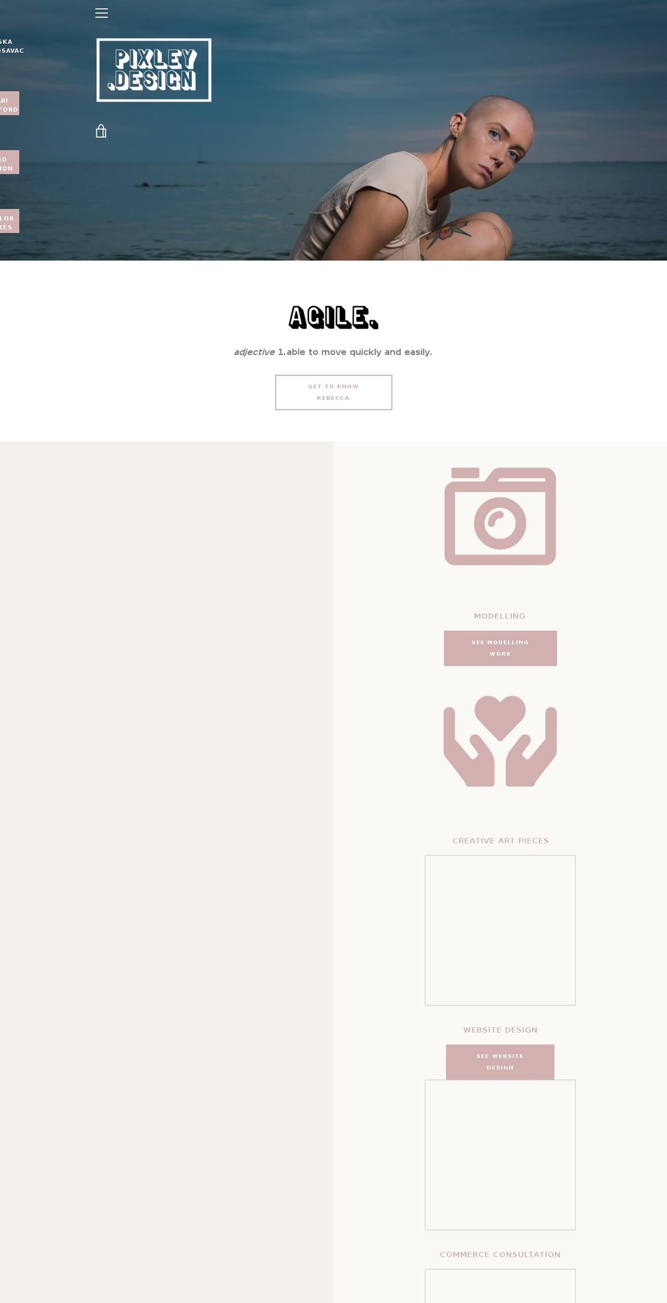 pixleydesign.com shopify website screenshot