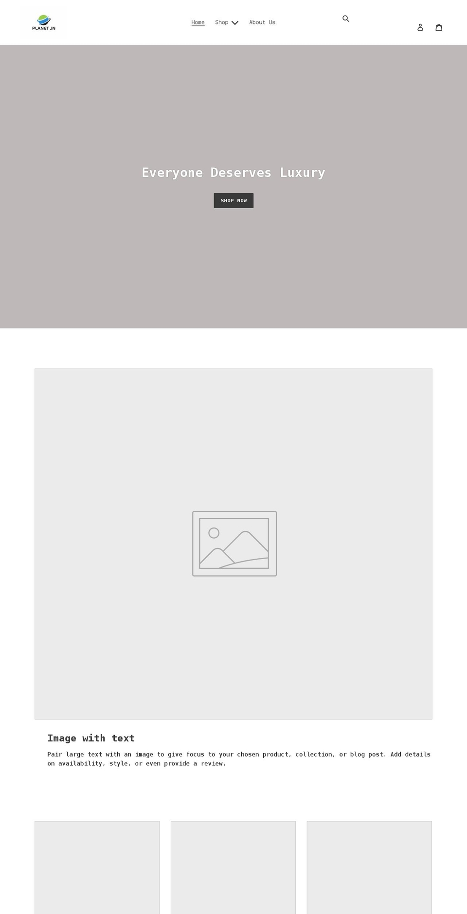 planetjn.com shopify website screenshot