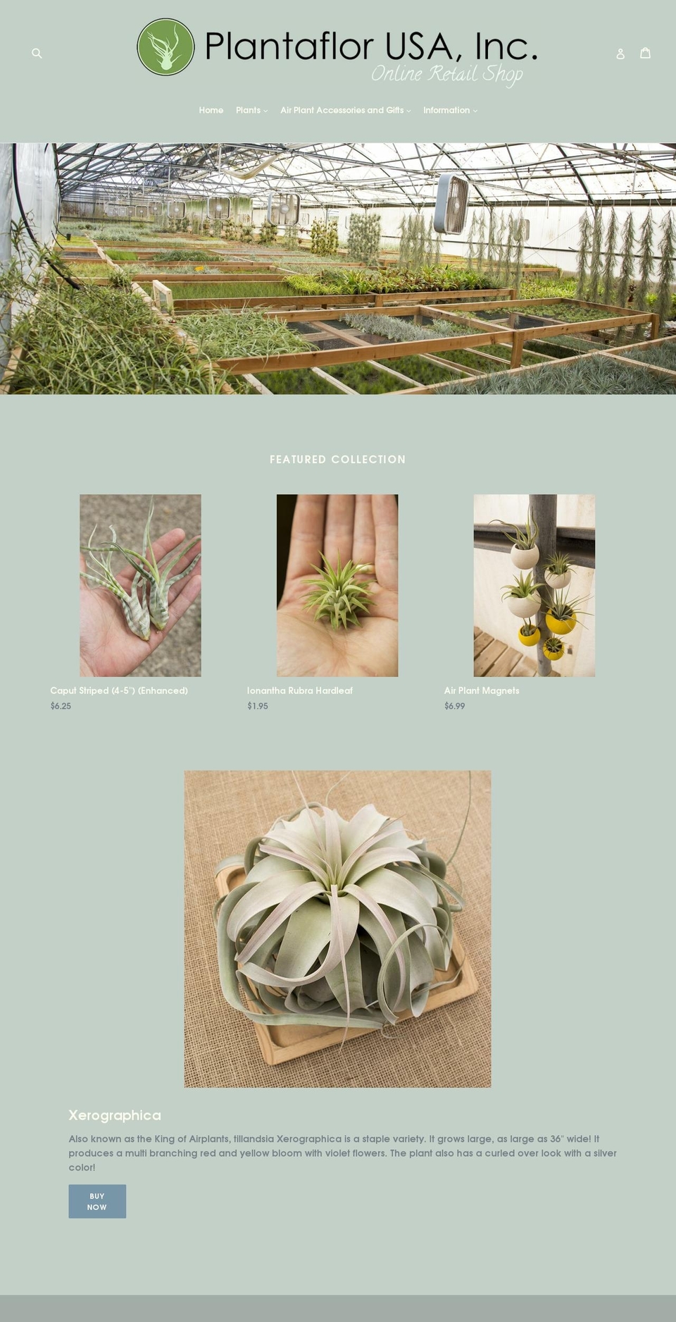 plantaflorshop.com — Shopify storefront screenshot