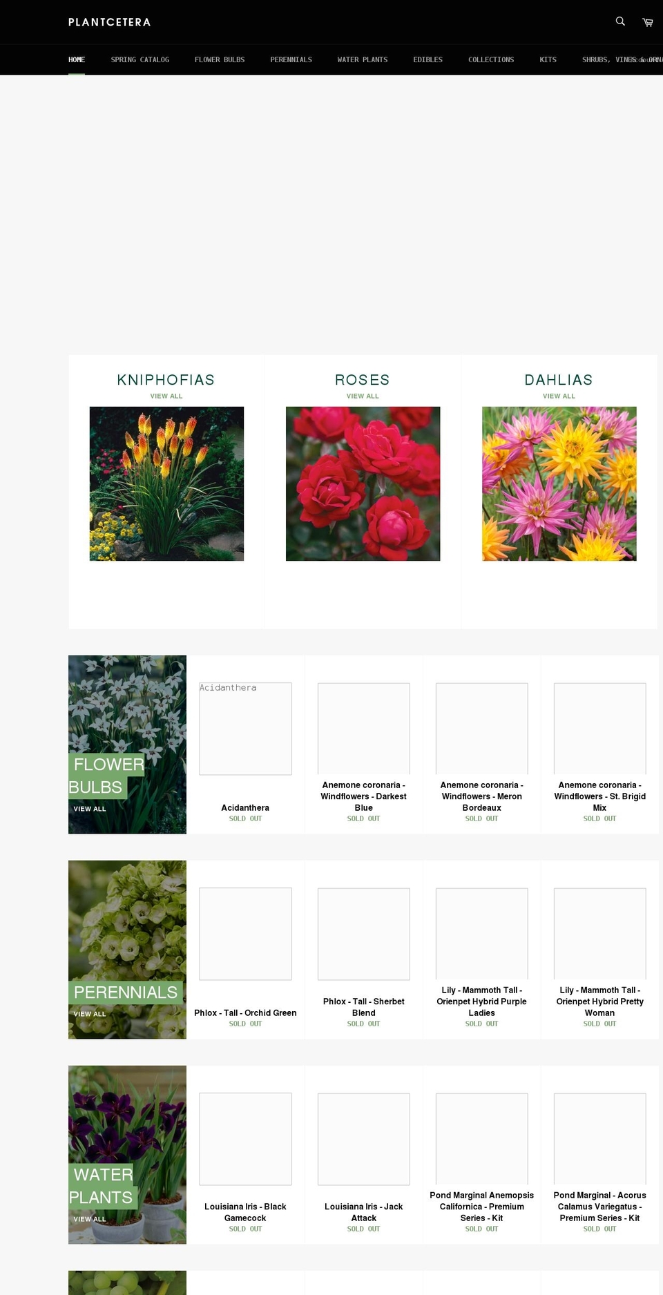 plantcetera.com shopify website screenshot