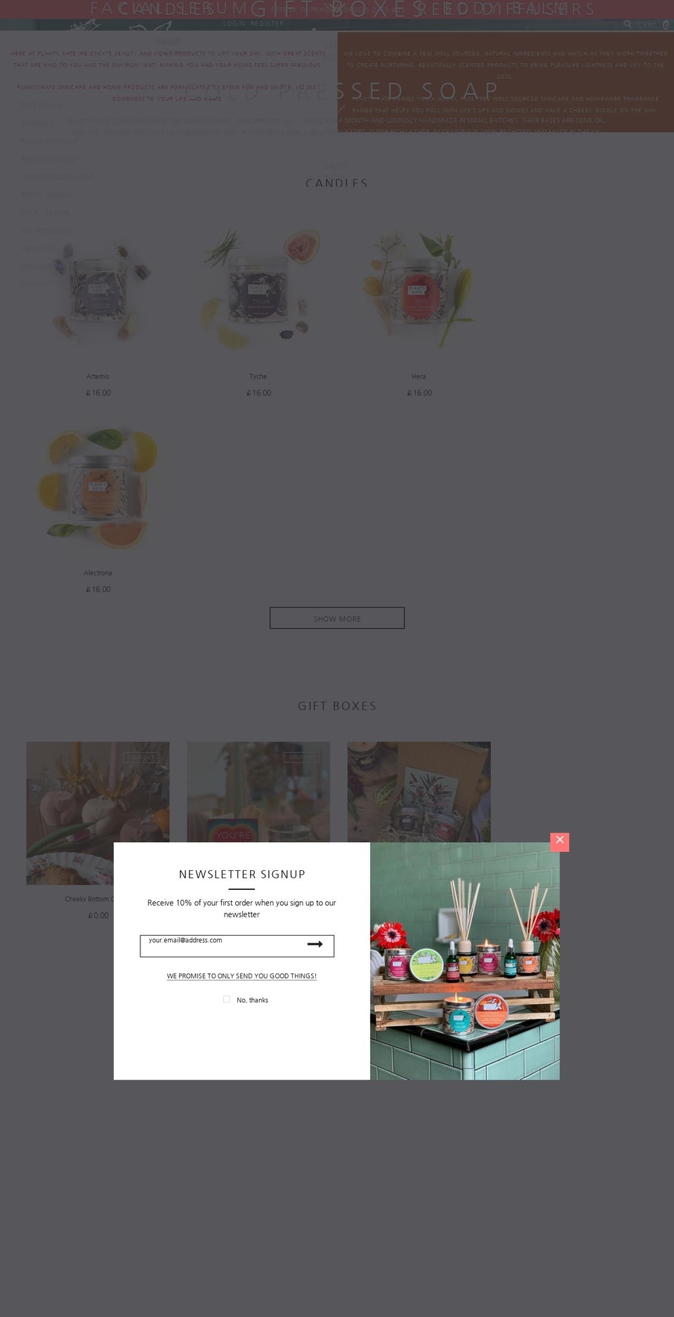 plantykate.co.uk shopify website screenshot