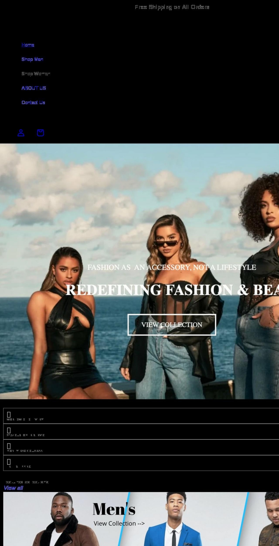 platinum-ash-accessories.myshopify.com shopify website screenshot