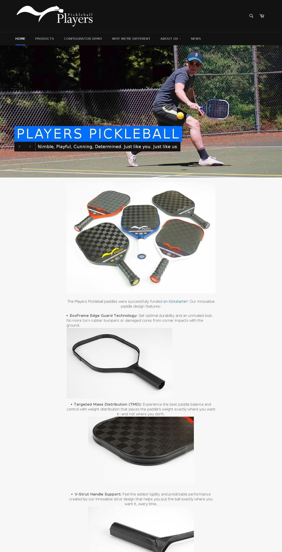 playerspickleball.com — Shopify storefront screenshot