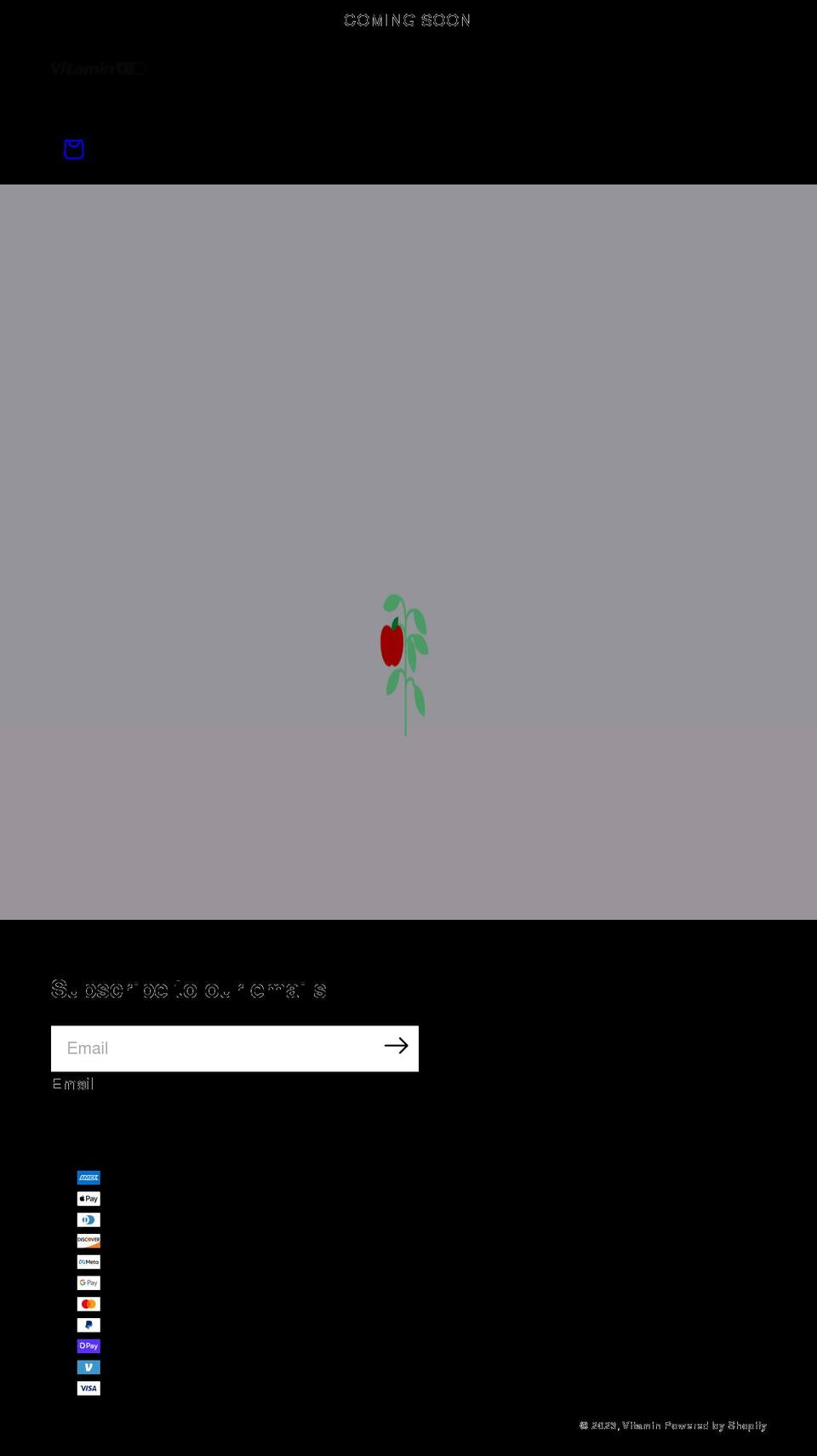 playvitamin.com shopify website screenshot