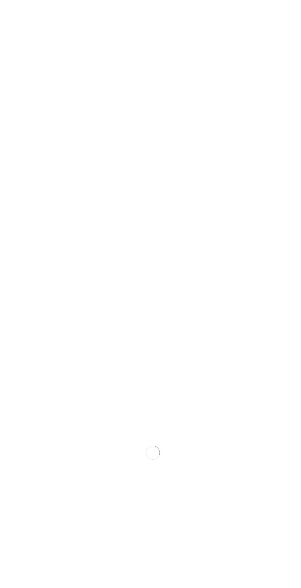 plusonehundred.com — Shopify storefront screenshot