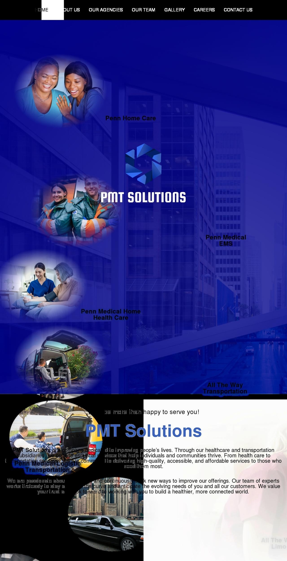 pmtsolutions.net shopify website screenshot