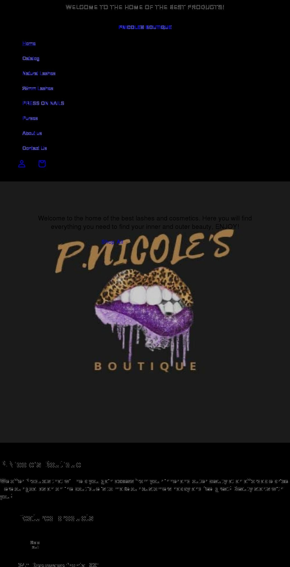 pnicolesboutique.com shopify website screenshot