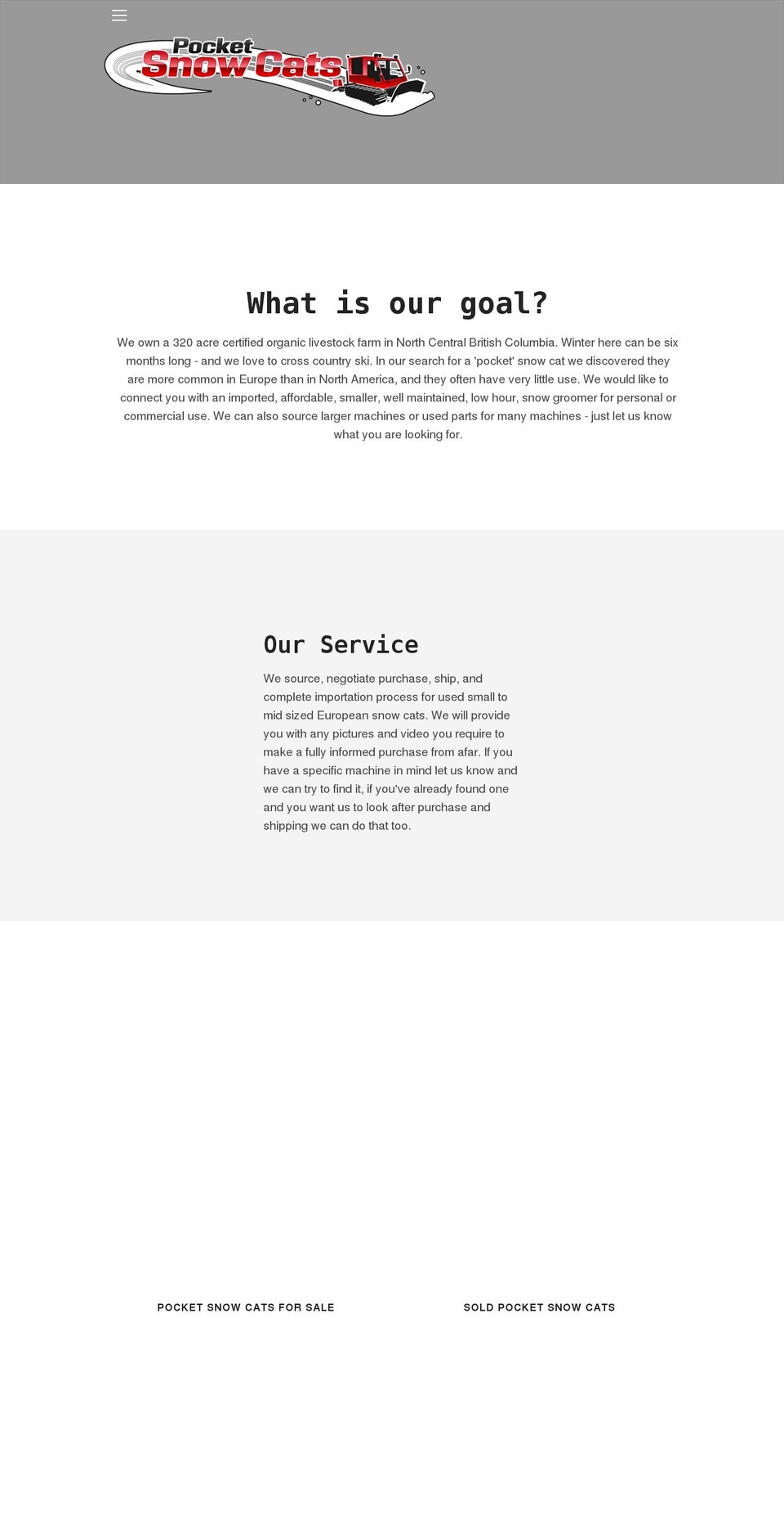 pocketsnowcats.com shopify website screenshot