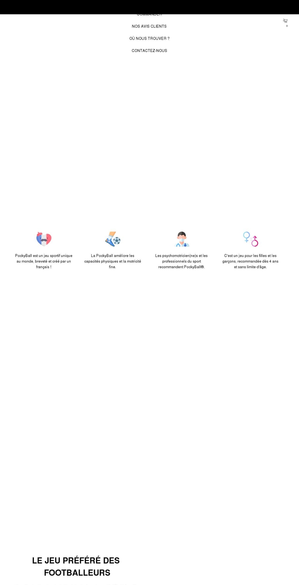 pockyball.com shopify website screenshot