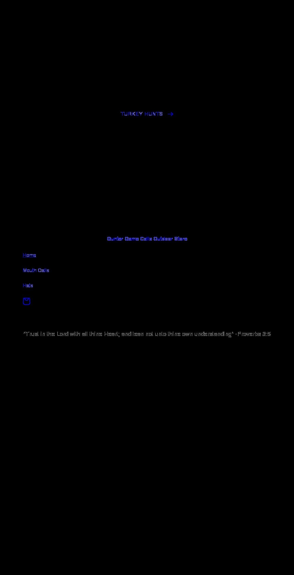 poesispayne.com shopify website screenshot