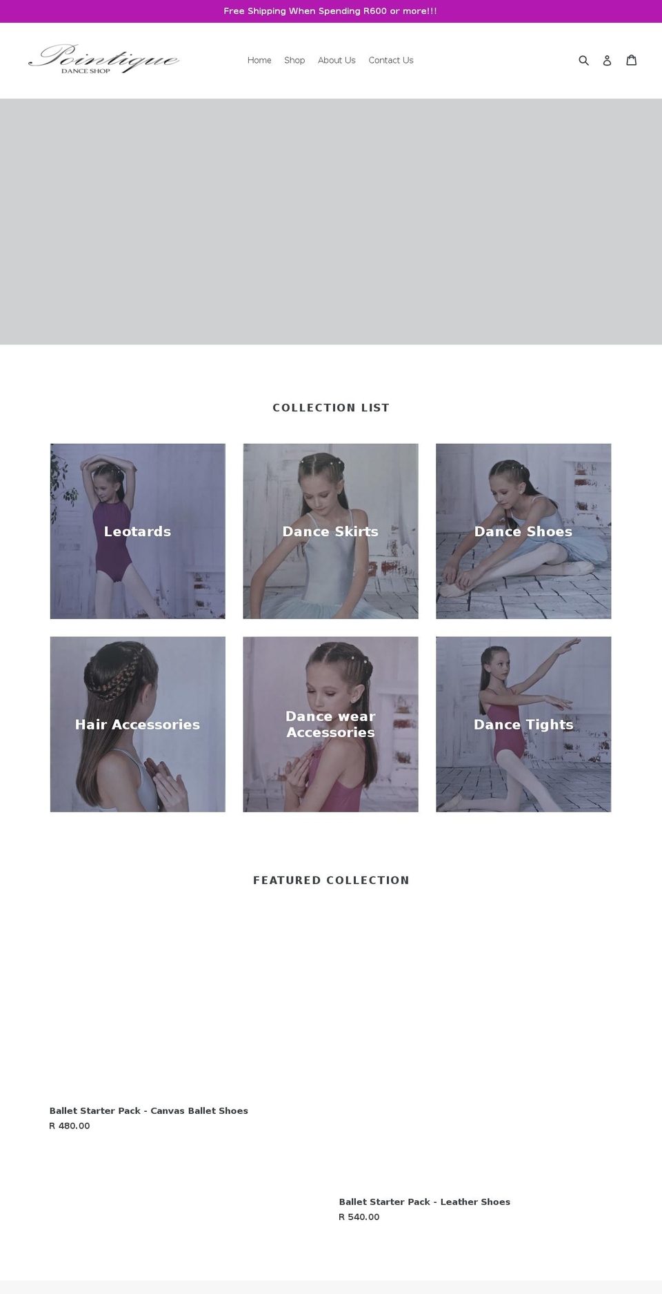 pointiquedanceshop.com — Shopify storefront screenshot