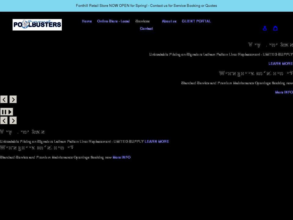 poolbusters.ca shopify website screenshot
