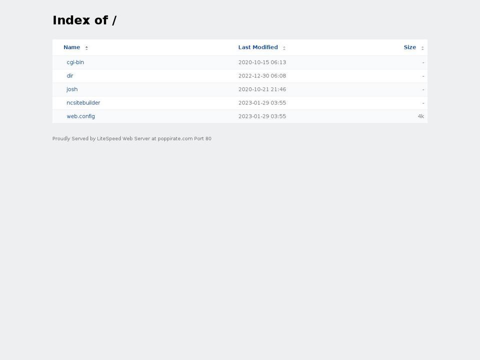 poppirate.com — Shopify storefront screenshot
