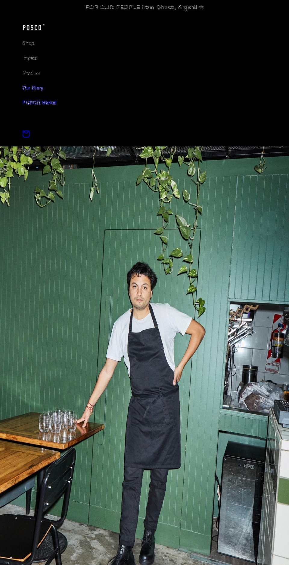 poscofamilia.com shopify website screenshot