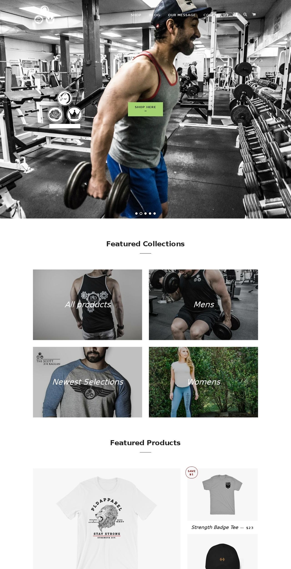 powerlovedisciplineapparel.com — Shopify storefront screenshot