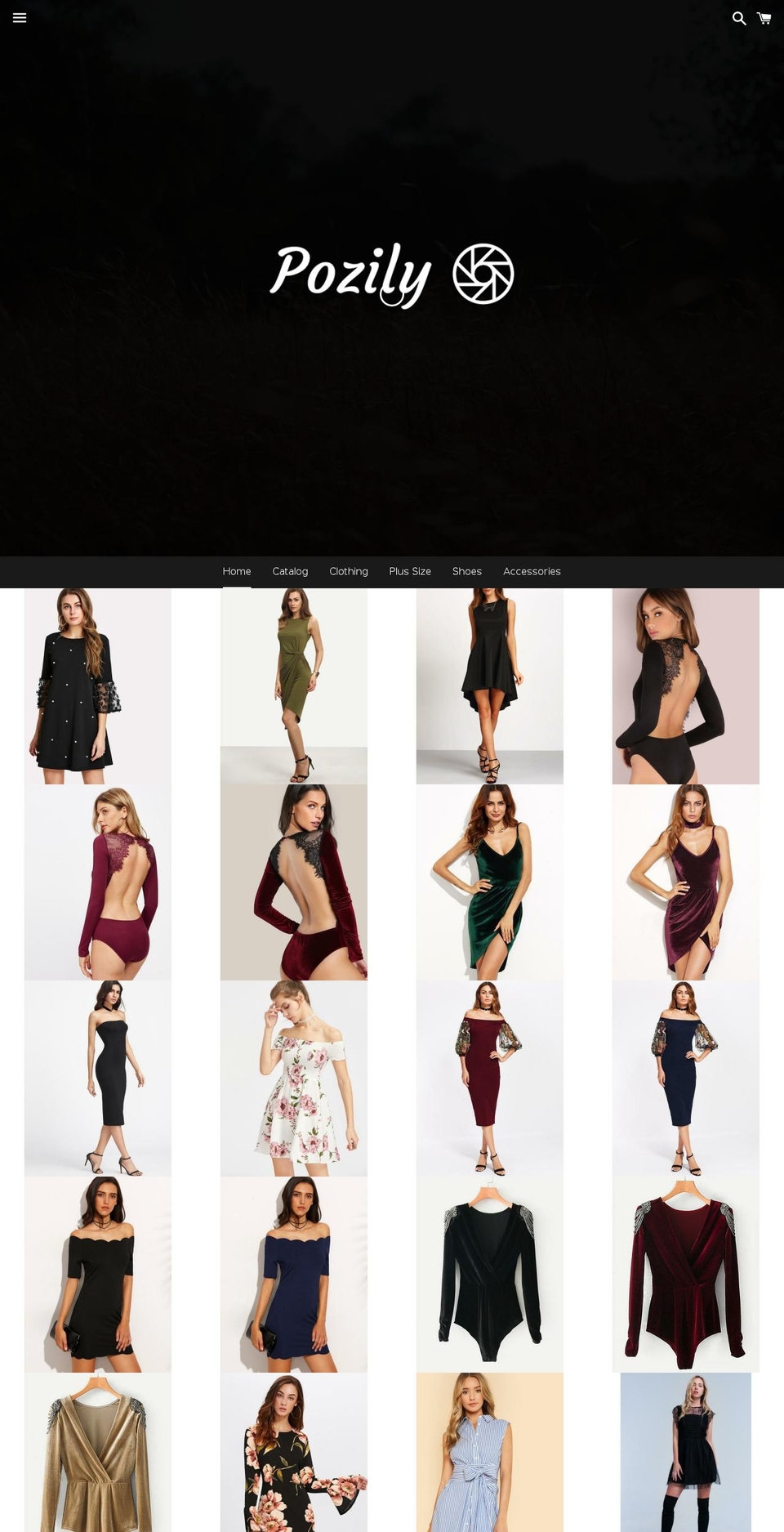 pozily.com — Shopify storefront screenshot