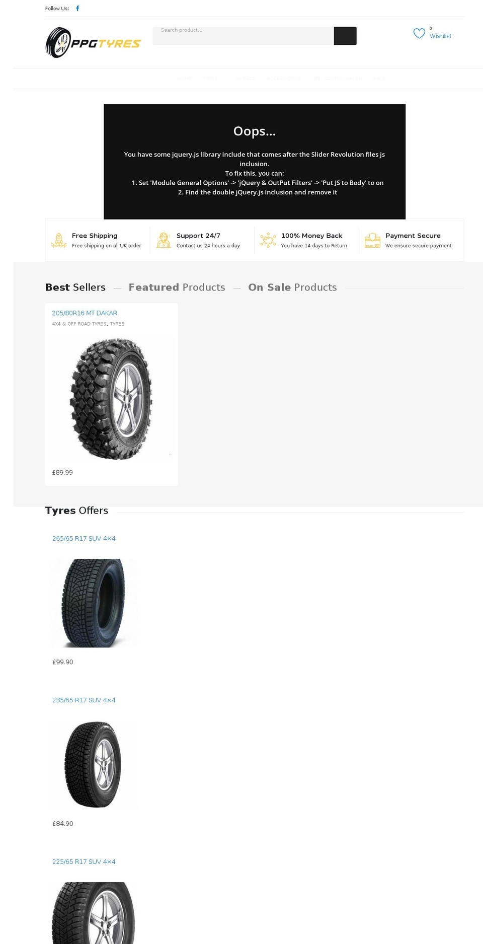 ppgtyres.com — Shopify storefront screenshot