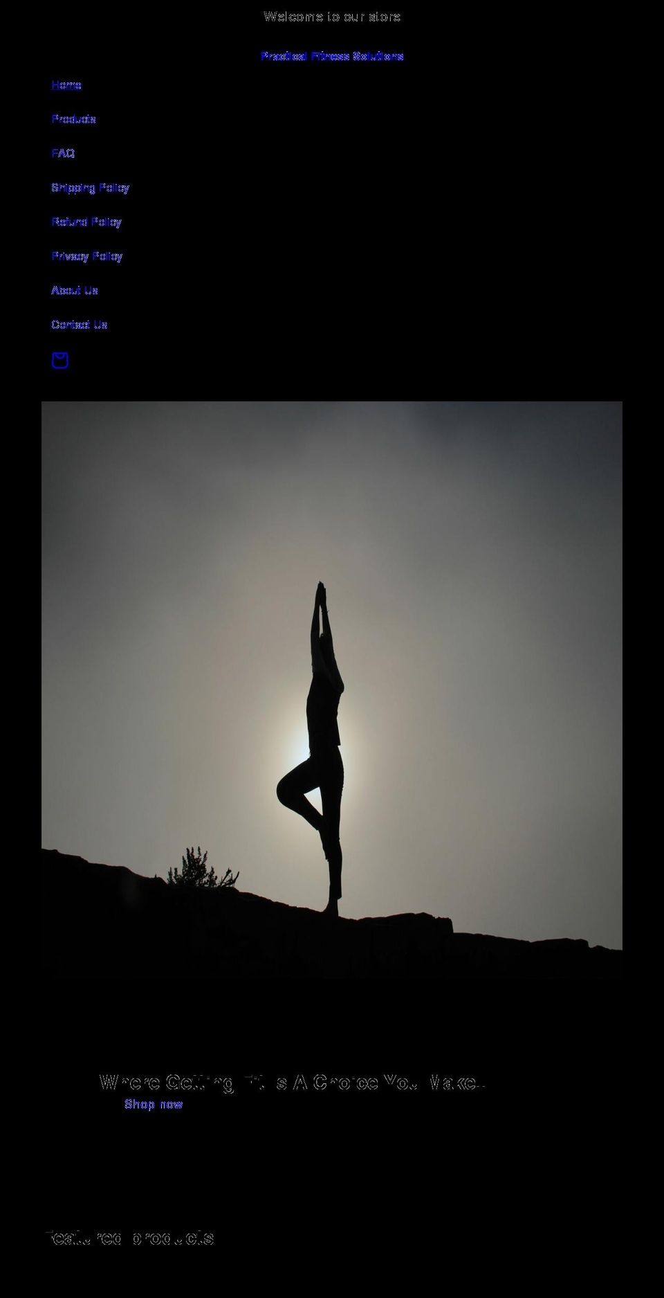 practicalfitnesssolutions.com shopify website screenshot