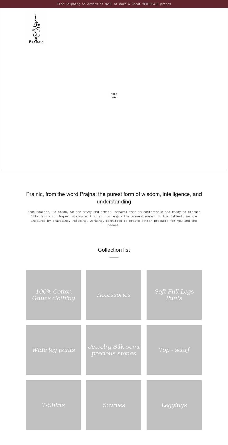 prajnic.com shopify website screenshot