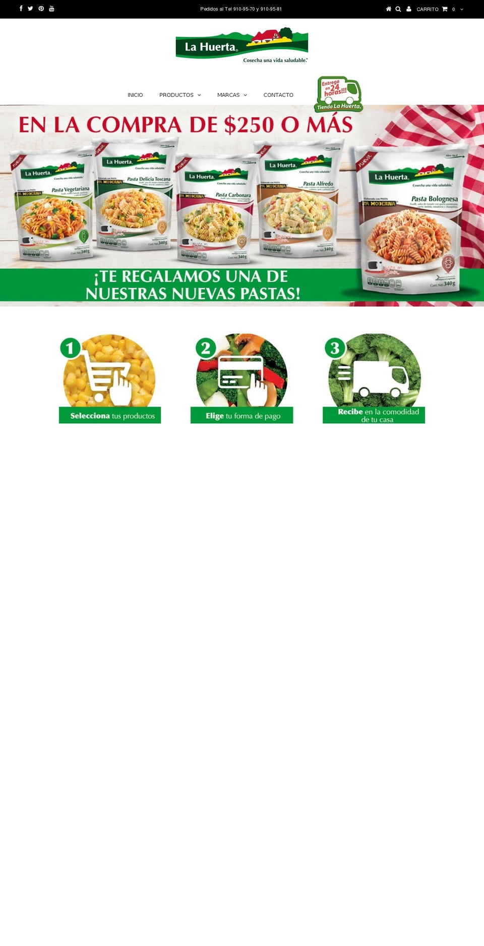 Taste Shopify theme site example prakticongelados.com