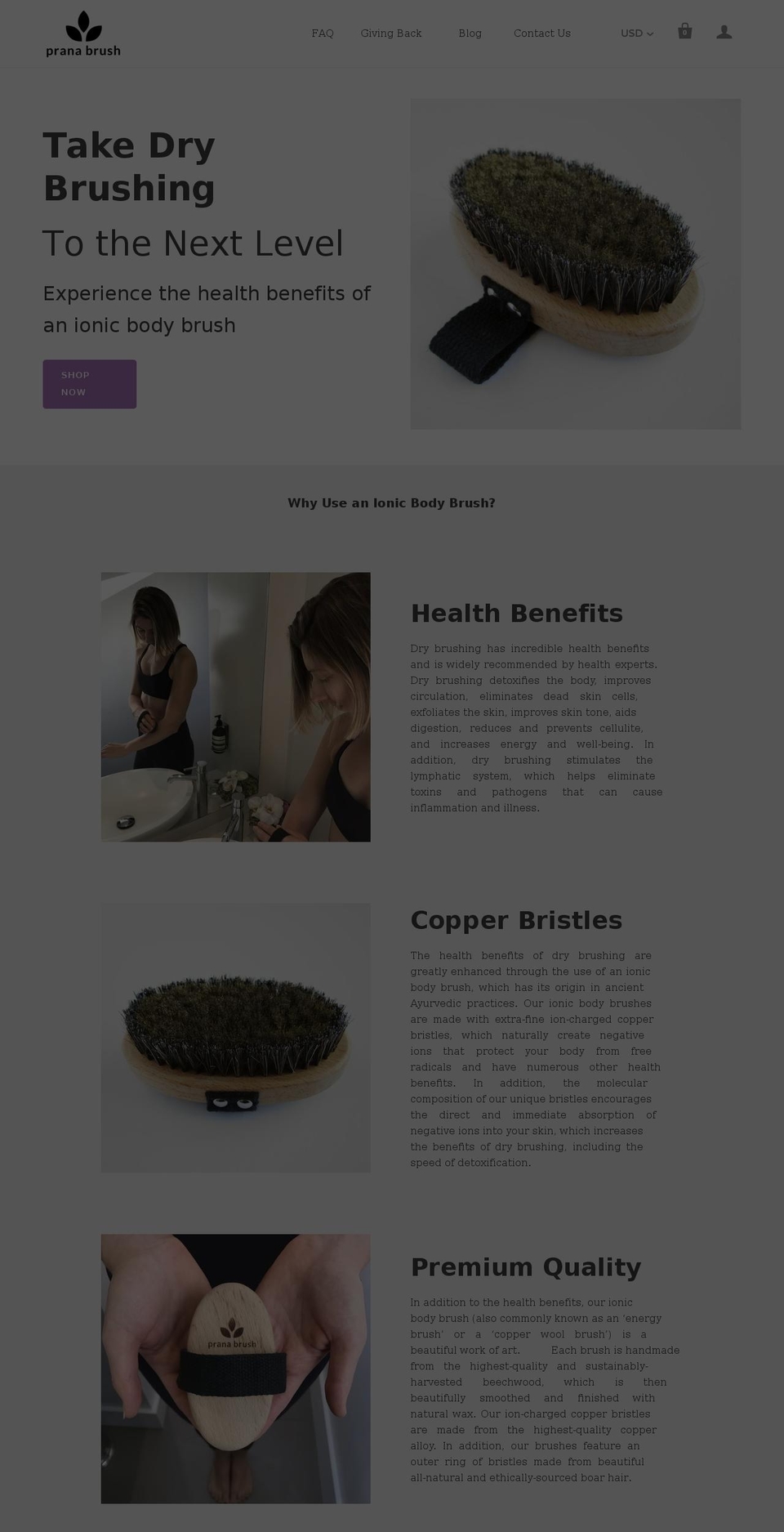 pranabrush.com shopify website screenshot