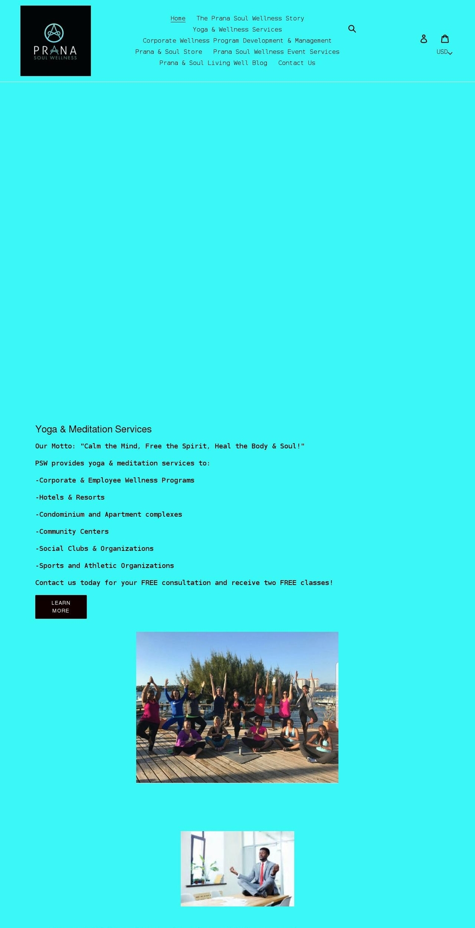 pranasoulwellness.com shopify website screenshot