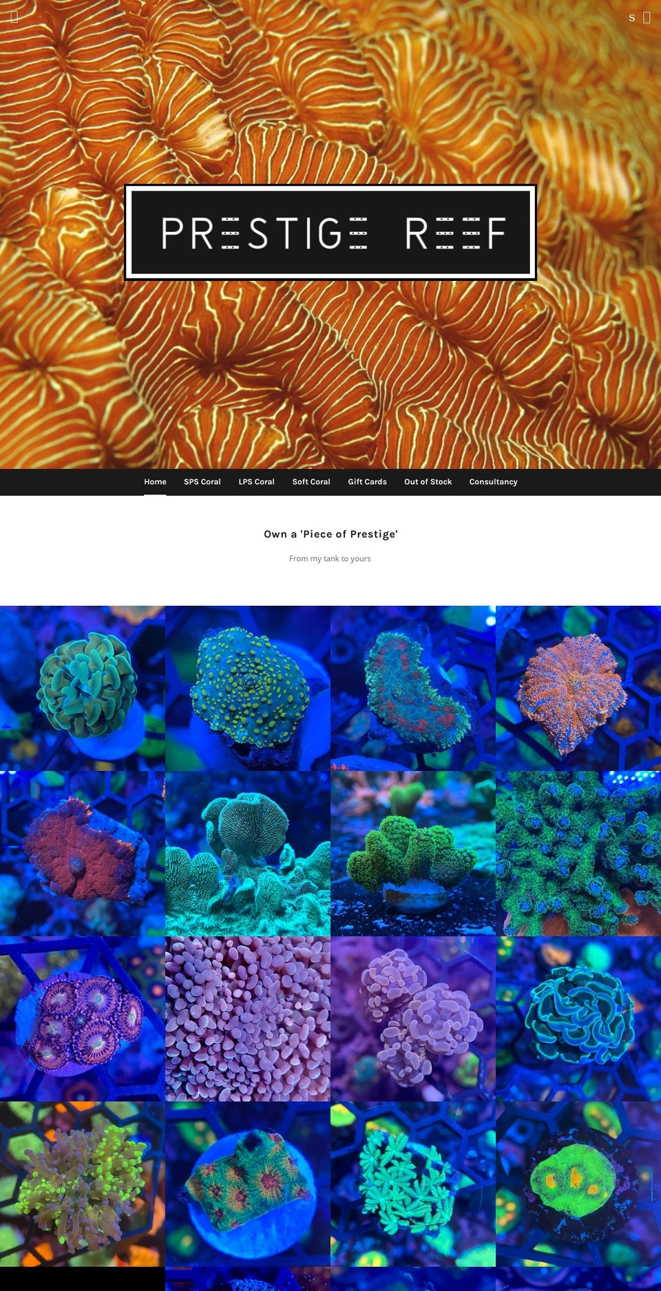 prestigereef.co.uk shopify website screenshot