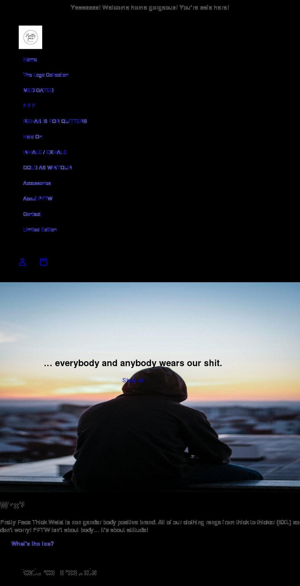 prettyfacethickwaist.com shopify website screenshot