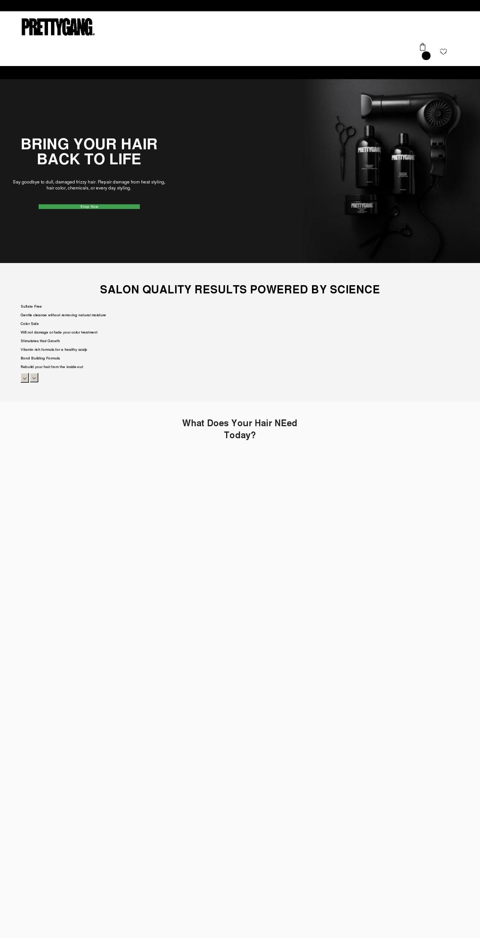 prettygangofficial.com shopify website screenshot
