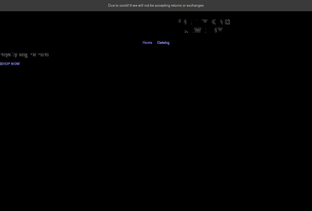 prettykingjewelry.com shopify website screenshot
