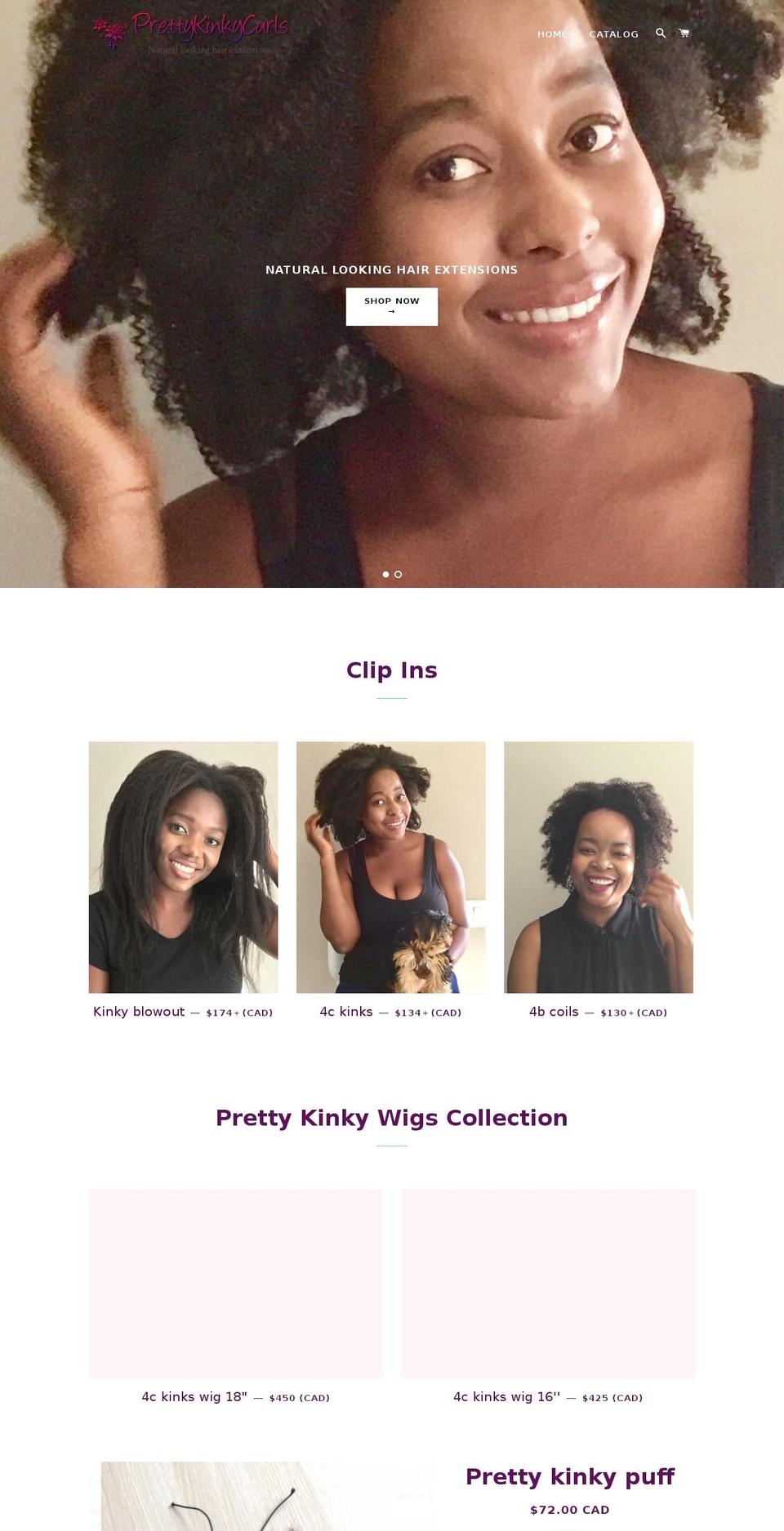 prettykinkycurls.com — Shopify storefront screenshot