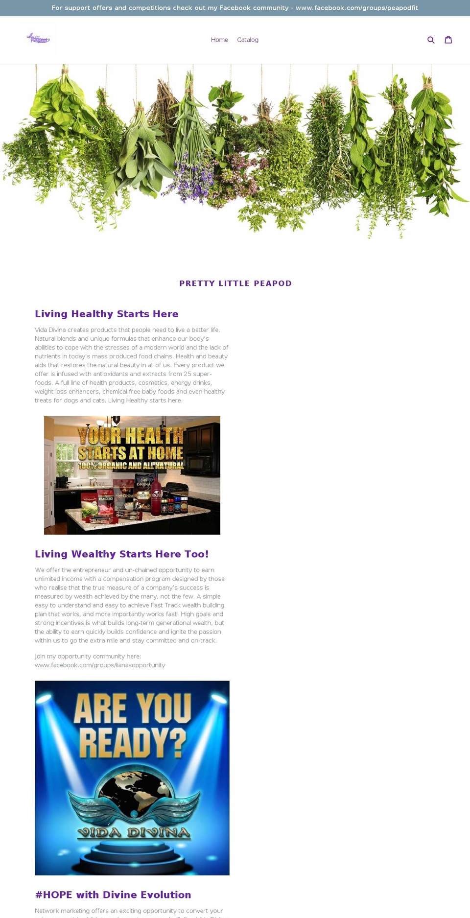 prettylittlepeapod.com shopify website screenshot