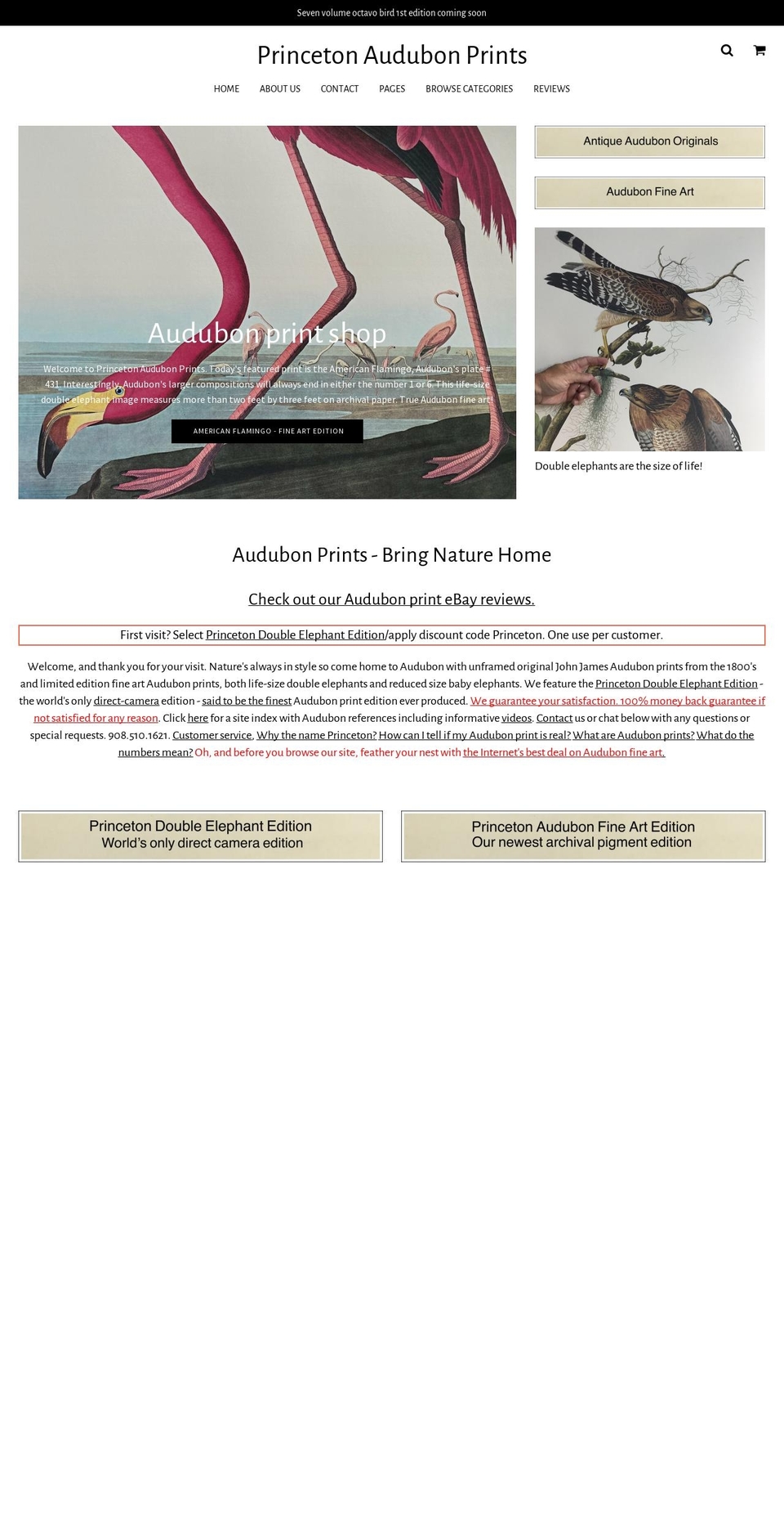 princetonaudubonprints.com — Shopify storefront screenshot