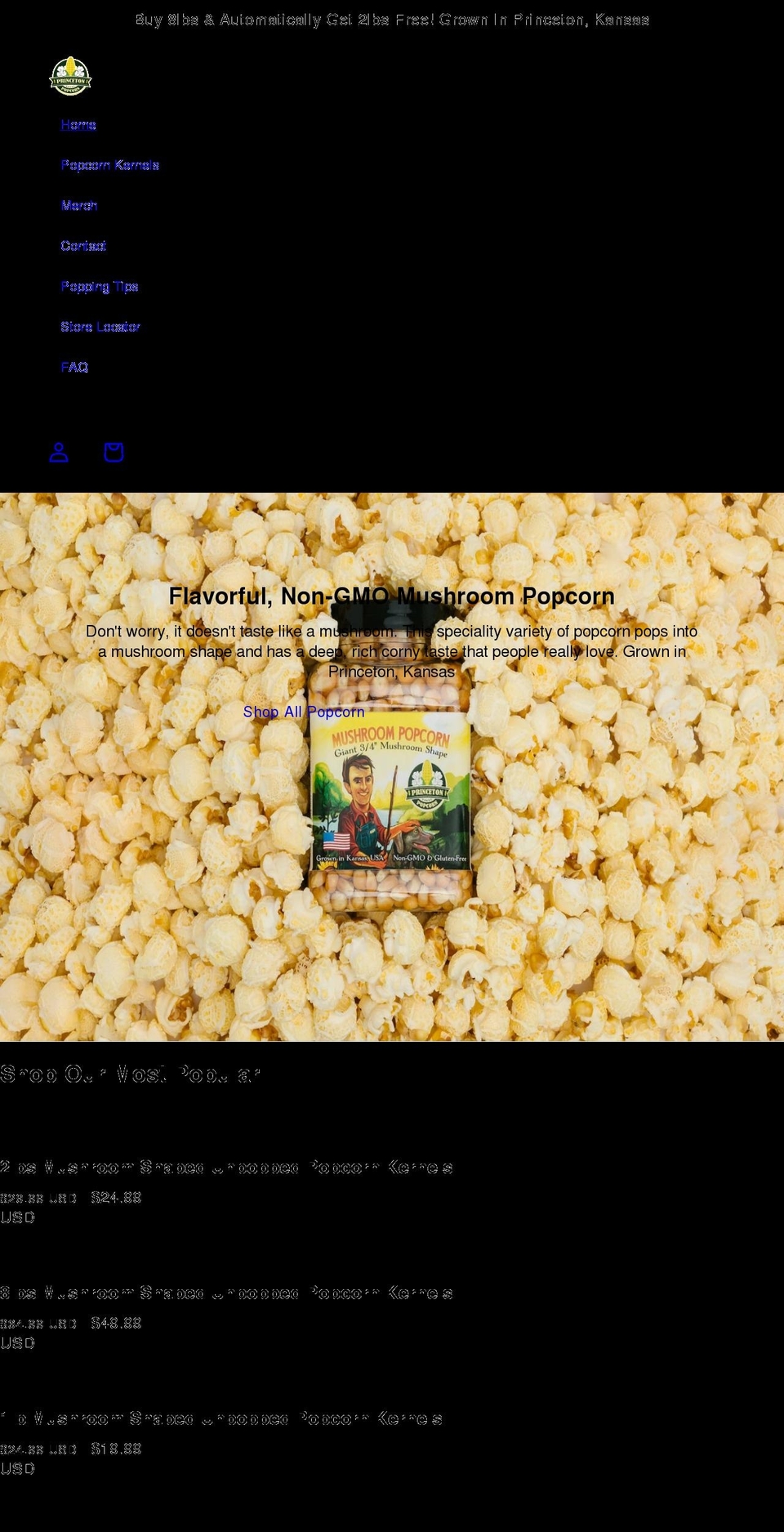 princetonpopcorn.com shopify website screenshot