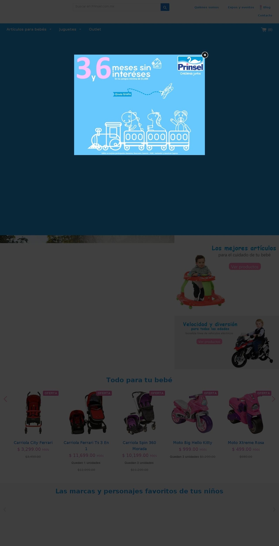 Loft Shopify theme site example prinsel.com