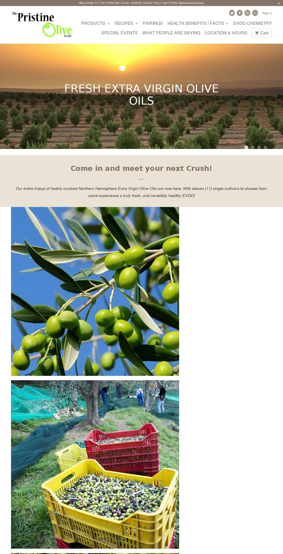 pristineolive.com — Shopify storefront screenshot