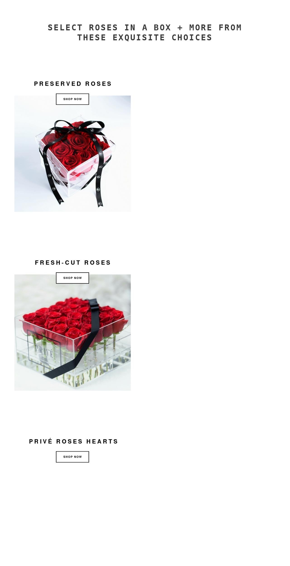 priveroses.com shopify website screenshot