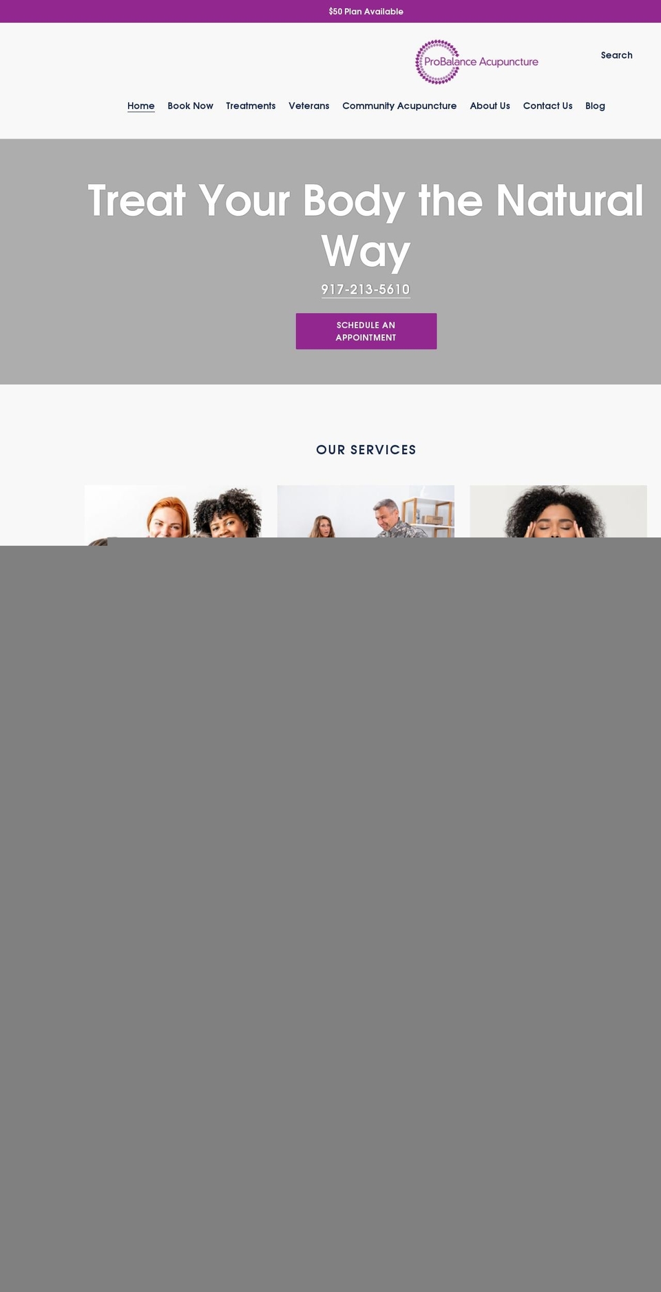 probalanceacupuncture.com shopify website screenshot