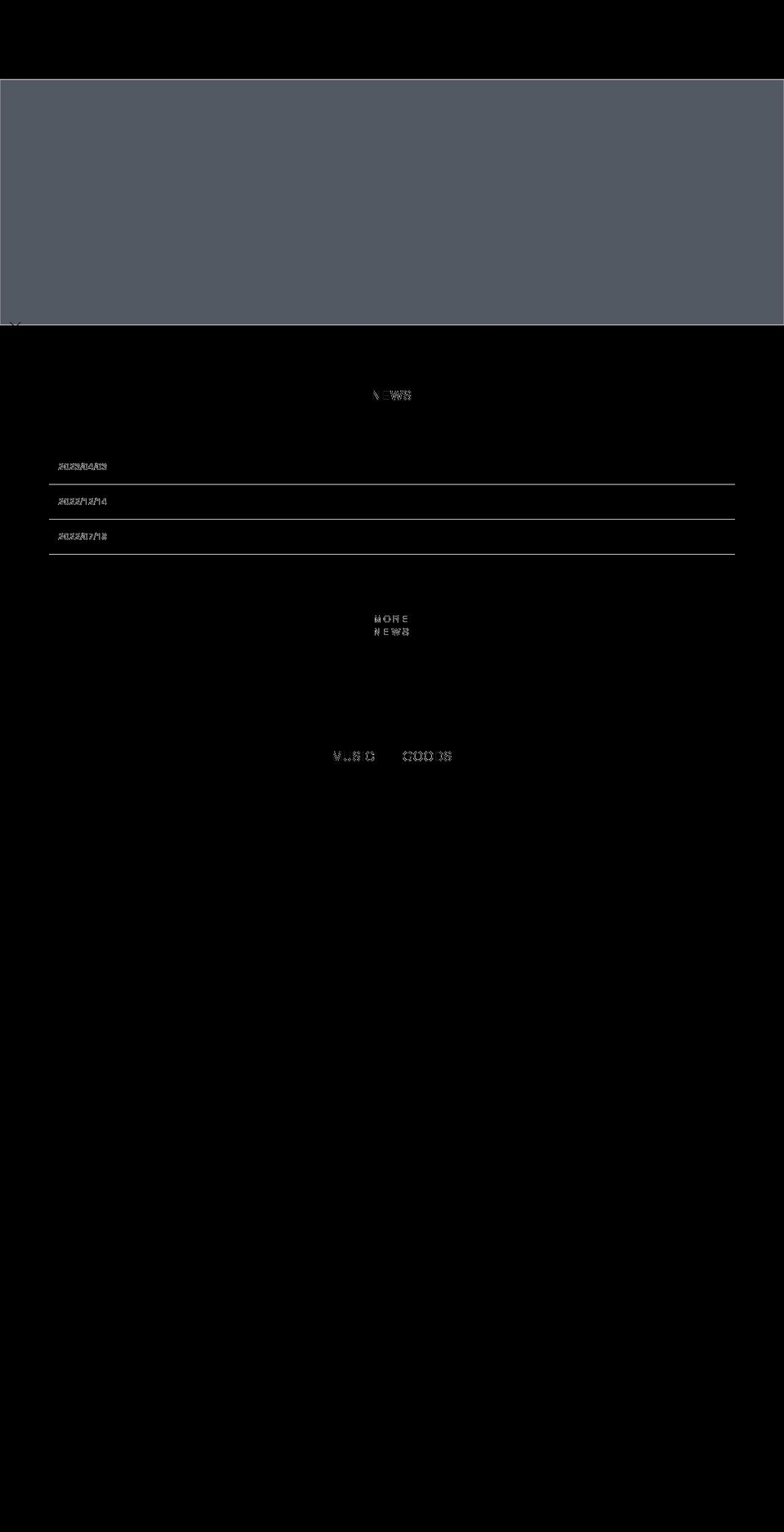 procyon-store.com — Shopify storefront screenshot
