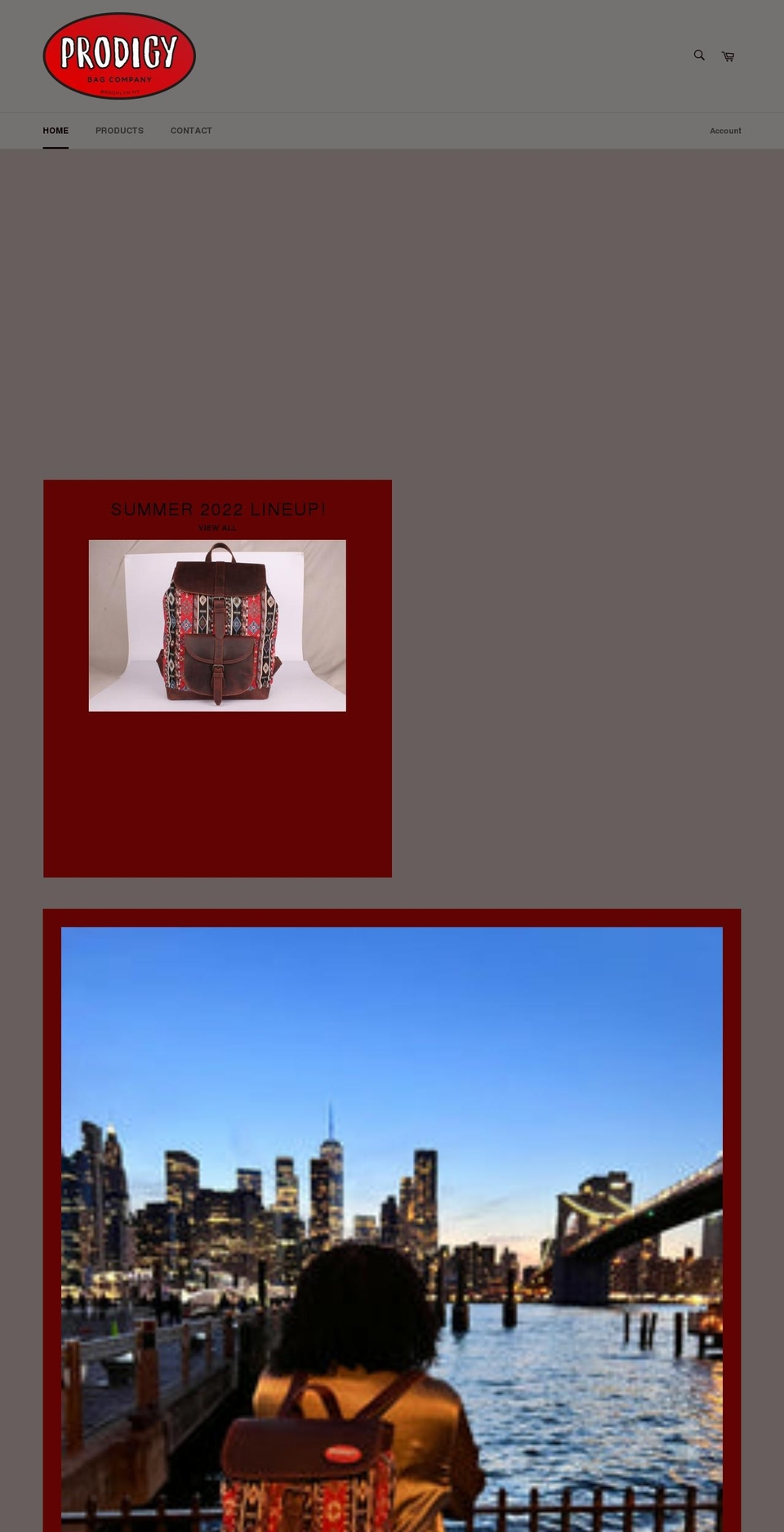 prodigybagcompany.com shopify website screenshot